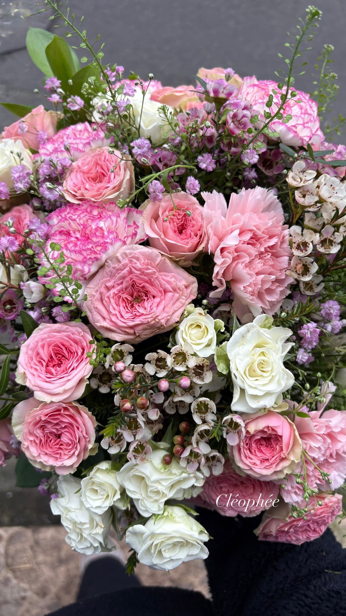 Rose Poudrée